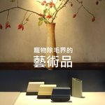 [HhL] 毛毛皂-寵物布面除毛橡皮擦 (單入組直面版) | 哈密瓜橙, , large