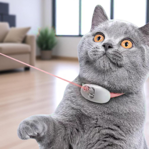 Laser Cat Collar