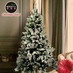 XMAS TREE, , large