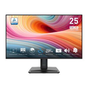 MSI 微星 PRO MP251 E2 25型 螢幕