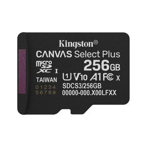 Kingston microSD Card