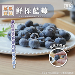 【寅食3 a.m.】祕魯藍莓22mm/125g*12盒原裝件, , large