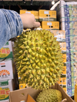 Kanyao Durian, , large