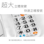 AIWA 愛華 超大字鍵助聽有線電話機 ALT-889, , large