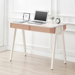 【AOTTO】北歐風莫蘭迪雙抽辦公桌-100cm((FT-504P)