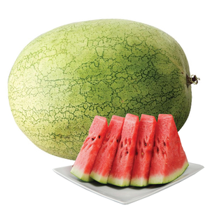 Big Watermelon