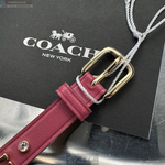 [TIMEMASTER] COACH watch, 18mm, 28mm, CH00239, , large