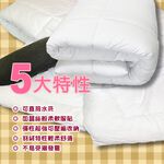 GS MALL 台灣製造 頂級雙人保暖長纖被 181x211cm 禦寒被 柔暖被 透氣被 雙人被 長纖被 水洗 棉被, , large