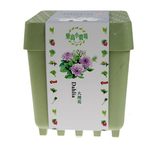 Dahlia, , large