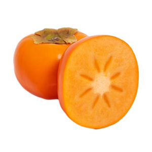 Fuyu persimmon#16