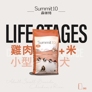 SUMMIT