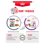 【Royal Canin法國皇家】腸胃敏感成貓專用乾糧S33, , large
