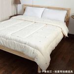 [CINN Official Store] Nano Far-Infrared Thermal Duvet Insert｜6 x 7 ft, , large