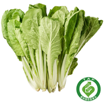 CFPLB Pak Choi, , large