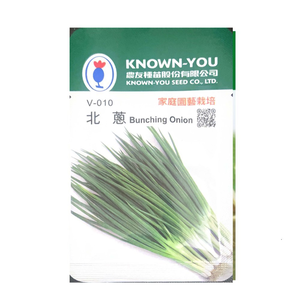 NongYou Bunching Onion &ndash; Vegetable Seeds