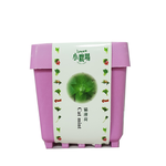 【心安購物】iPlant積木盆栽-貓薄荷, , large