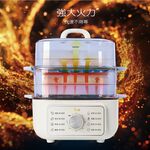 Giaretti Multi-Function Electric Steamer GT-HPS113, , large