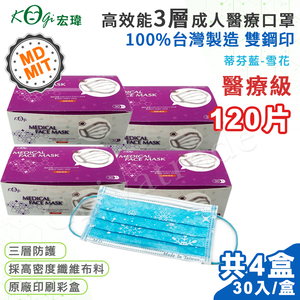 【宏瑋】台灣製 MD+MIT 雙鋼印 高效能三層不織布 醫療級 醫用成人口罩 120入(蒂芬藍-雪花)