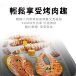 SANLUX 台灣三洋 多功能燒烤盤 電烤盤 DHPS-211P, , large