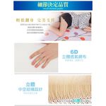 【格藍傢飾】超健康1CM排汗防菌6D透氣床墊-單人加大 雙人 雙人加大 降溫涼墊支撐床墊 空氣床墊 可水洗, , large