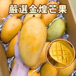 [芯鮮果]台灣嚴選( 金煌芒果 ), , large