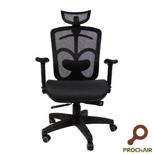 Richard ergonomic chair