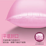 家簡塵除防漏環保清潔袋-大, , large