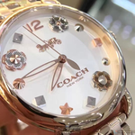 [TIMEMASTER] COACH watch, 36mm, CH00036, , large