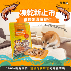【撥撥】無毒白蝦仁 - 東部純淨海水養殖，貓狗適用原肉凍乾｜每包20g