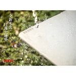 【MBM】情思纏綿-L號超厚切水洗式珪藻土地墊 建材做的地墊, , large