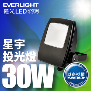Everlight LED Xingyu 30W full voltage IP65 floodlight (white light)
