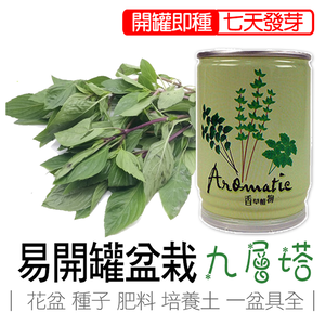 【心安購物】iPlant易開罐盆栽-九層塔