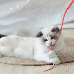 mouse-tail-cat-teaser-toy, , large