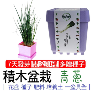 【心安購物】iPlant積木盆栽-青蔥
