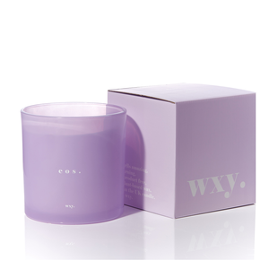 【英國 wxy】經典XL款蠟燭/4種香味可選