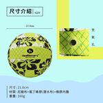 Patterned Inflatable Beach Ball, , large