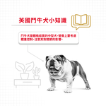 【Royal Canin法國皇家】鬥牛成犬BDA, , large