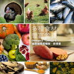 【拉拉寵物小舖】紐崔斯 貓飼料 養生無穀系列 無穀養生成貓(六種魚)5公斤, , large