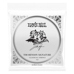Ernie Ball Tim Henson Bundle 9635, , large