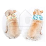 【寵愛生活本舖】-SML號-寵物涼感圍脖 寵物降溫 S、M、L號涼感造型圍脖 寵物冰圍脖, , large