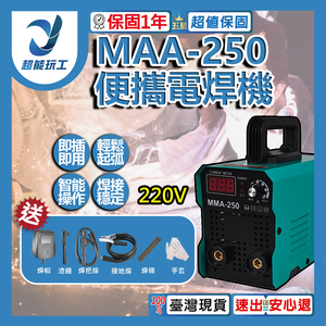 Portable Welding Machine / MMA-250 220V Fully Equipped