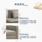 【Hampton 漢汀堡】帕尼貓抓皮沙發床, , large