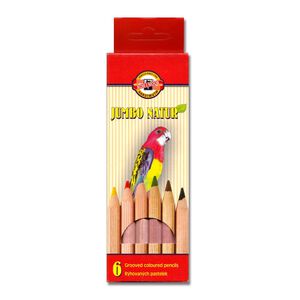 普思AP 【KOH-I-NOOR】高質感油性色鉛筆6色(K2171N)