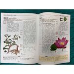 《南門書局》中國中草藥圖典 2冊~~中藥草藥, , large