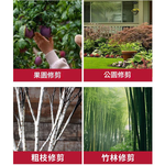 修枝剪2.0帶顯(5節)1電1充, , large