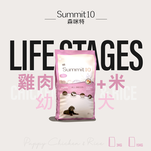 SUMMIT