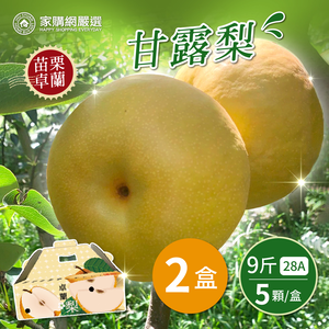 【家購網嚴選】28A甘露梨大禮盒9斤X2盒(5顆/盒)