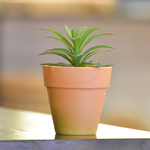 ARTIFICIAL PLANT IN TERRACOTTA POT SET OF 4, , large