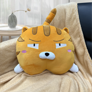 pillow-blanket-cat