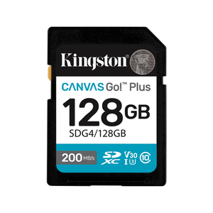 Kingston SD Card
